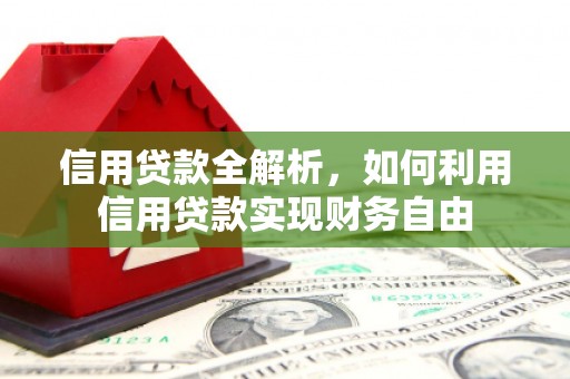丽水信用贷款全解析，如何利用信用贷款实现财务自由
