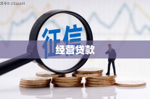 丽水经营贷款