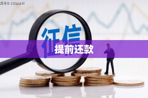 丽水提前还款