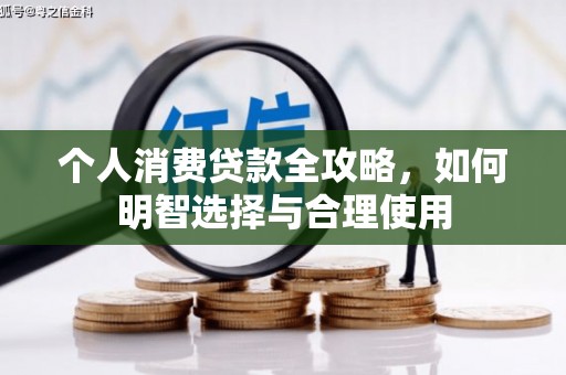 丽水个人消费贷款全攻略，如何明智选择与合理使用