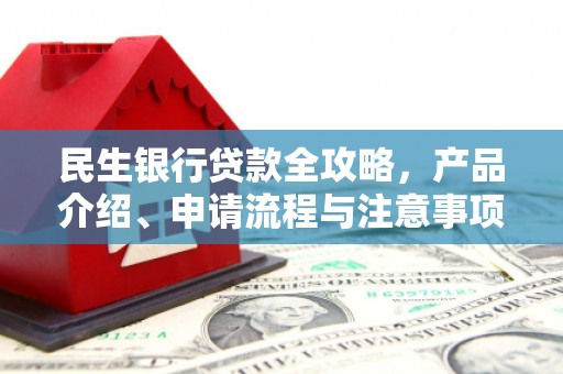 丽水民生银行贷款全攻略，产品介绍、申请流程与注意事项